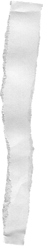 【关注公众号：纯素材，领取更多免费素材】 (26).png