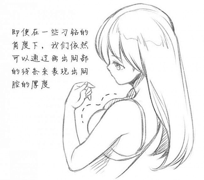 女性胸部怎么画好看女生的胸部画法女人胸部漫画绘画技巧卡通画教程2