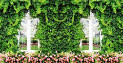 静默星采集到真植物墙  绿植 室内植物 立体绿化墙 垂直绿化墙  绿植墙