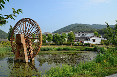 姬木香采集到乡村