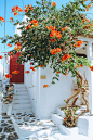 What To Do When You Only Have One Day in Mykonos – One World Just Go Mykonos Grecia, Mykonos Town, Oia Santorini, Santorini Greece Beaches, Myconos, Photos Voyages, Beautiful Places To Travel, Beautiful Scenery, Beautiful Men