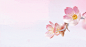 奈雪×OATLY | 今天起，领樱花！