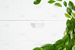 绿叶平铺在白木背景上