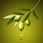 橄榄枝叶 精致果实 滴滴精油 橄榄油海报设计AI cb046031608