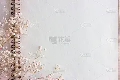 岁的空白纸;贺卡