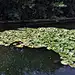 旅游游记