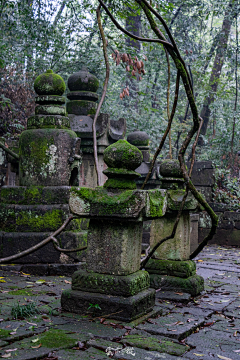 捡垃圾之王采集到场景-东方