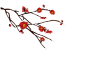 梅花 /红梅/冬/新年/过年/年货节/新年狂欢/新年元素@猫的觉悟