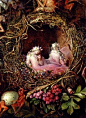 Fairies - They are all about us.