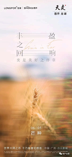 FlowerZQ采集到节气