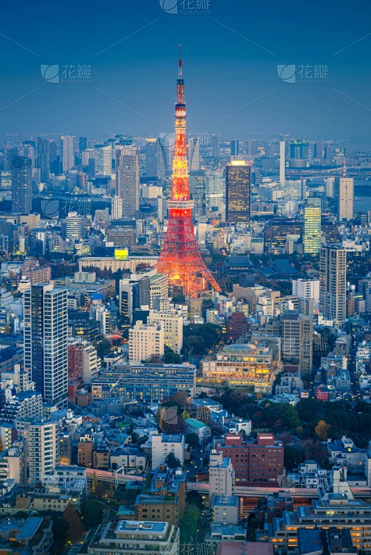 东京塔,夜晚,都市风景,东京,城市天际线,日本,六本木,垂直画幅,天空,公园素材-花瓣网