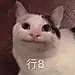 懿帆nox