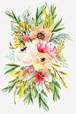水彩花卉免抠素材_新图网 https://ixintu.com 底图 手绘花卉 水彩花卉 漂亮花卉 装饰图案 设计底图