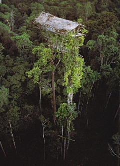 浅溪潆野采集到美景