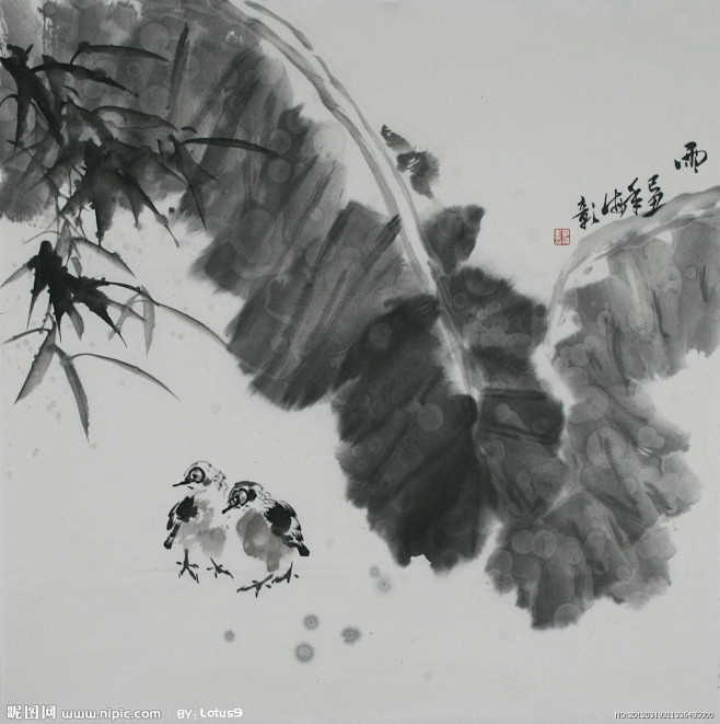 国画芭蕉