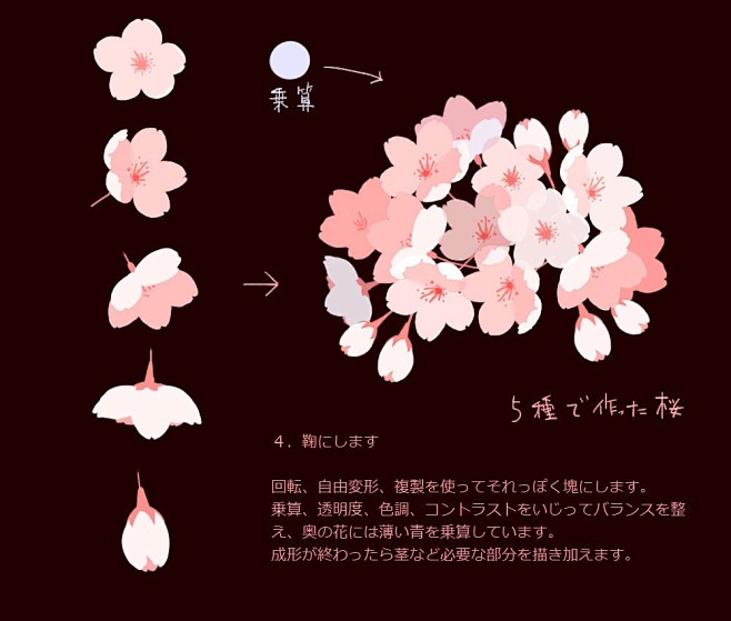樱花画法 来自画师笹... - @东馆方...