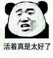 表情包-活着真是太好了