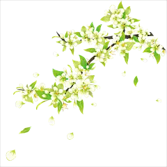 原创春季手绘梨花元素