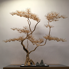 SaiWong采集到木本植物&盆栽