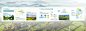 webp
