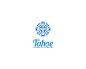 Tahoe饮料公司  饮料 雪花 水晶 晶体 对称 蓝色 水滴 商标设计  图标 图形 标志 logo 国外 外国 国内 品牌 设计 创意 欣赏