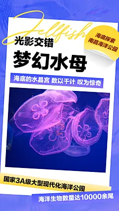 南昌海洋公园_文案海报3
