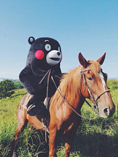 凉风子采集到霓虹·KUMAMON