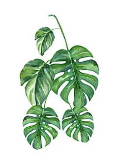 现代简约植物叶子画芯北欧小清新装饰画油画布喷绘打印无框画画心-淘宝网