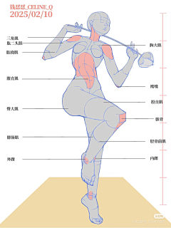 北冥扶风采集到女性人体结构
