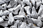 #AJ# Air Jordan 25th “Silver Anniversary” 系列
全25双，从AJ1到AJ25。