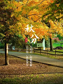 秋天节气秋分简约风plog模板