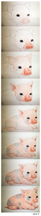 昨晚画的小猪崽，代替这周的画萌物小课堂吧，可惜灯光不给力呀~