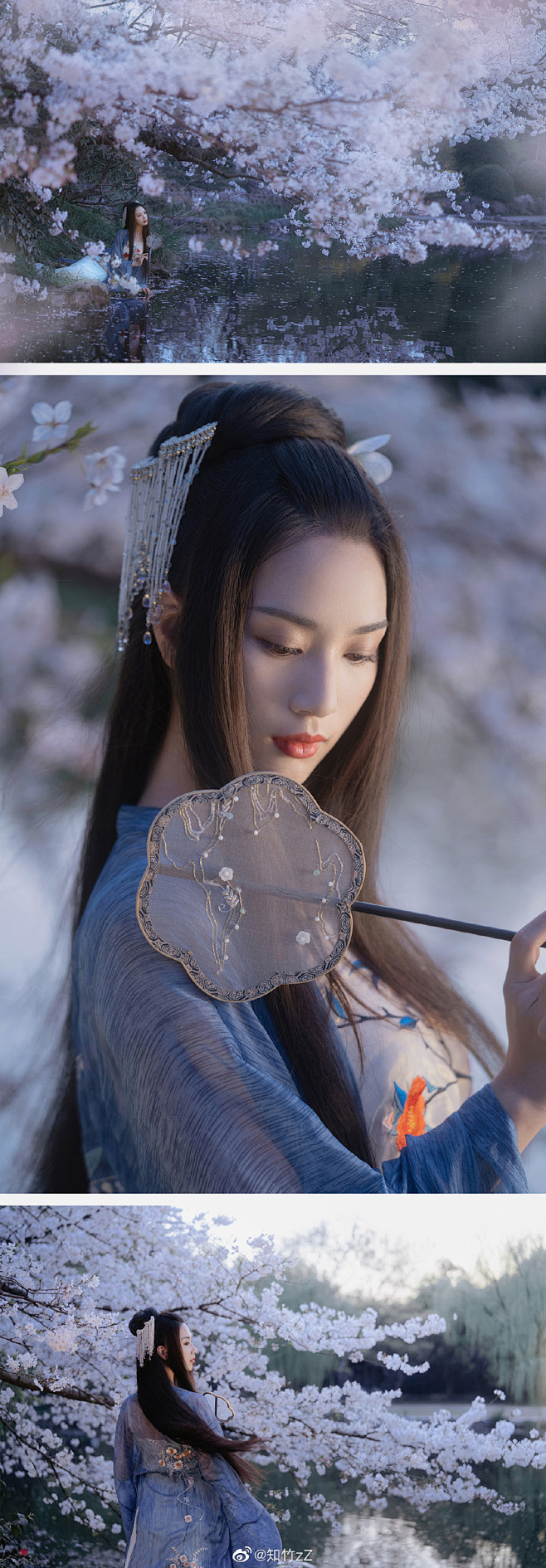 知竹zz的微博微博