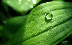 动态水滴壁纸_百度图片搜索