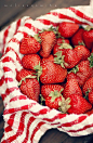 red and white kitchen towel: 