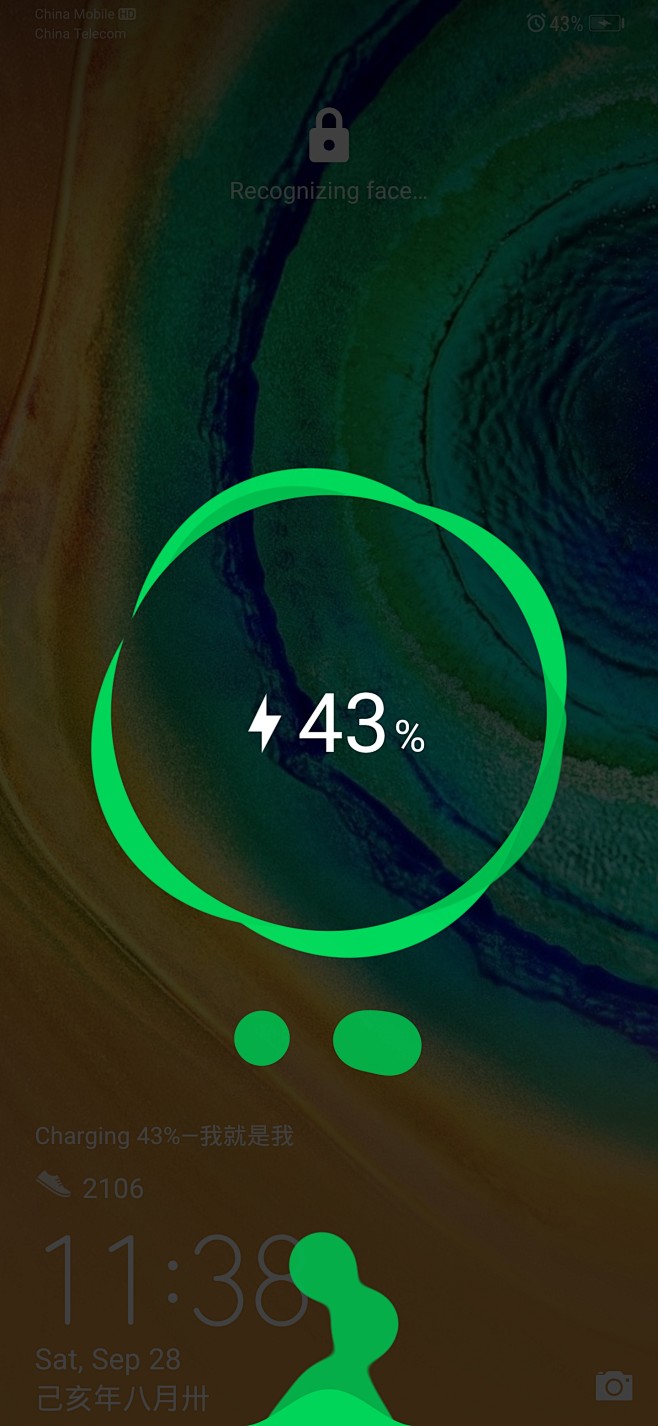 mate30英文版
