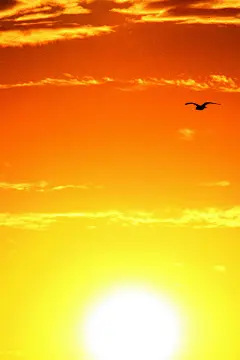 唯美风景日出手机壁纸 640x960