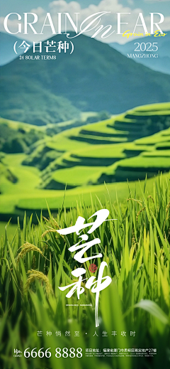 才诗w采集到首页(海报)设计