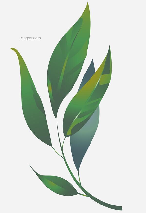 绿色的盆栽的叶子插画图片大小2049x3...