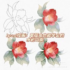 沽酒七（不竹折）采集到（绘）教程