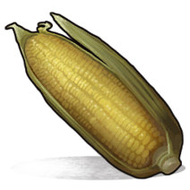 Corn icon