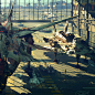 B-19 Fleet details