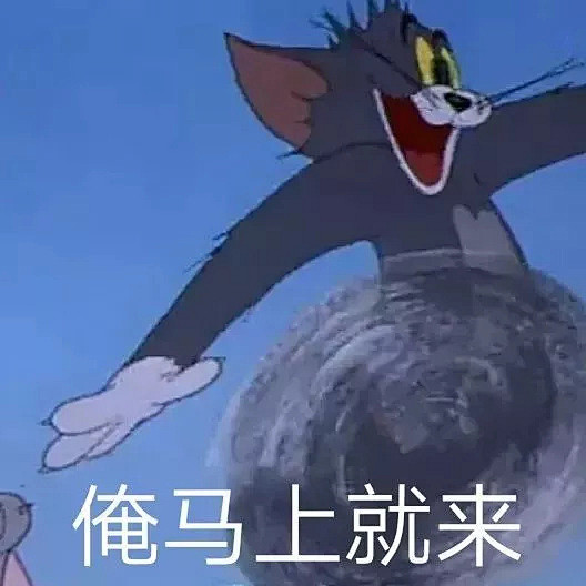 猫和老鼠表情包：直视我 崽种