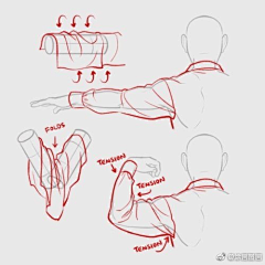 Jubat_公主采集到线稿【衣纹布褶】