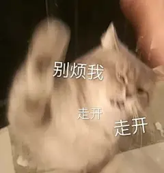 #喵星人#
可可爱爱小猫咪表情包/ 拿图吱声鸭！

大家好，我姓范，因为我说话的时候总是冷冰冰，所以大家都叫我，说话的时候注意点。 ​​​​