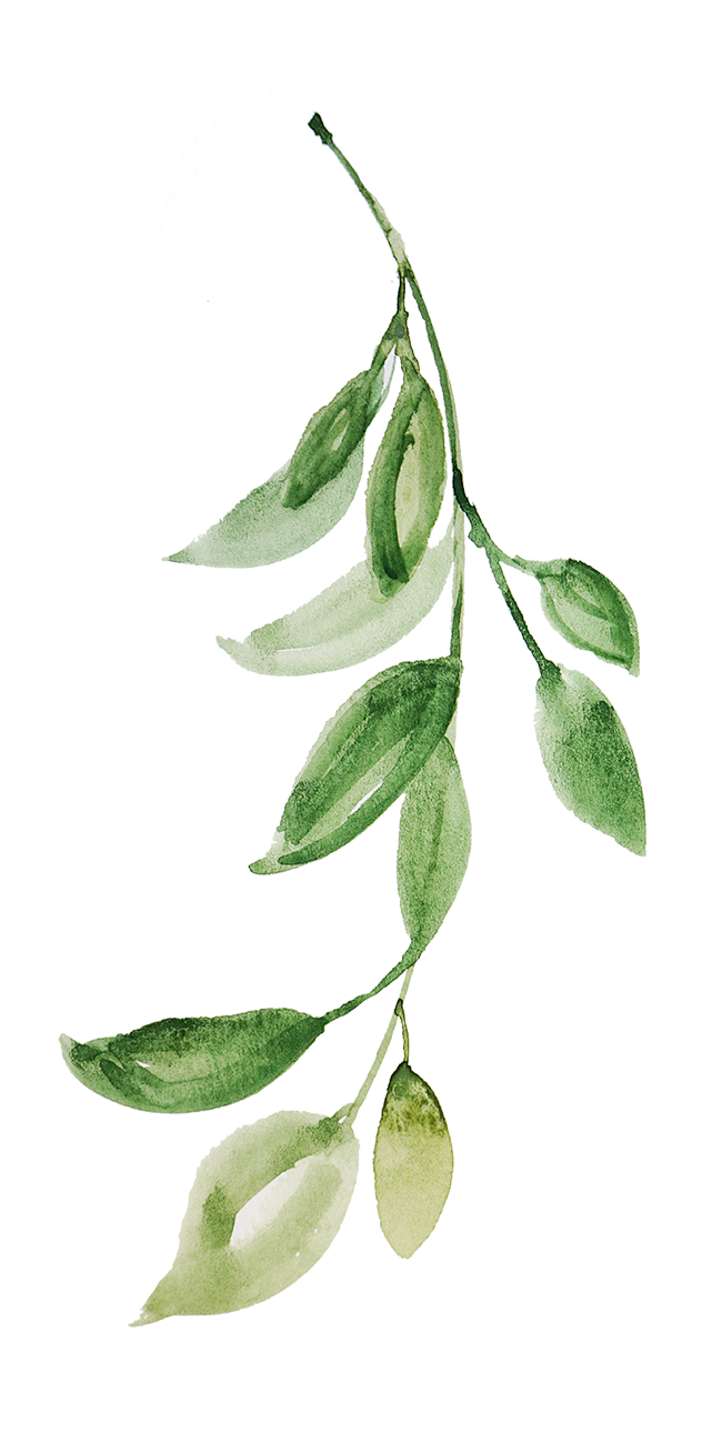 PNG免扣素材

