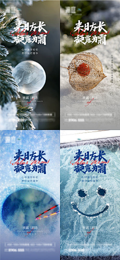 精选素材采集到寒露精选素材