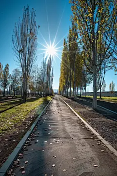 生态公园休闲绿道高清摄影图