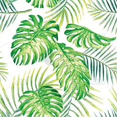 夏天,水彩画,热带的花,复叶,清新,干酪藤,壁纸,春天,装饰物,花