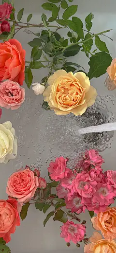 手机壁纸 背景图